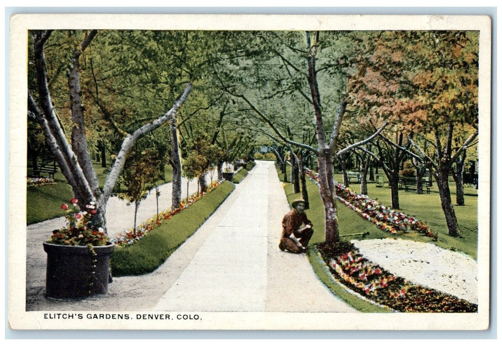 c1910's Elitch's Gardens Denver Colorado CO, Trees And Flowers Scene Postcard
