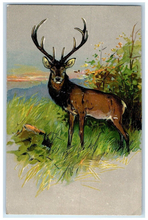 c1910's Stag Buck Deer Hunting Art Embossed Unposted Antique Postcard