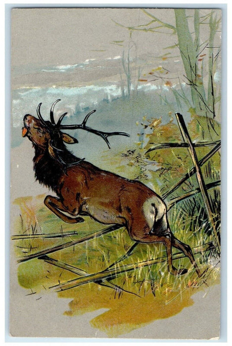 c1910's Stag Buck Deer Hunting Art Embossed Wolfville NS Canada Antique Postcard