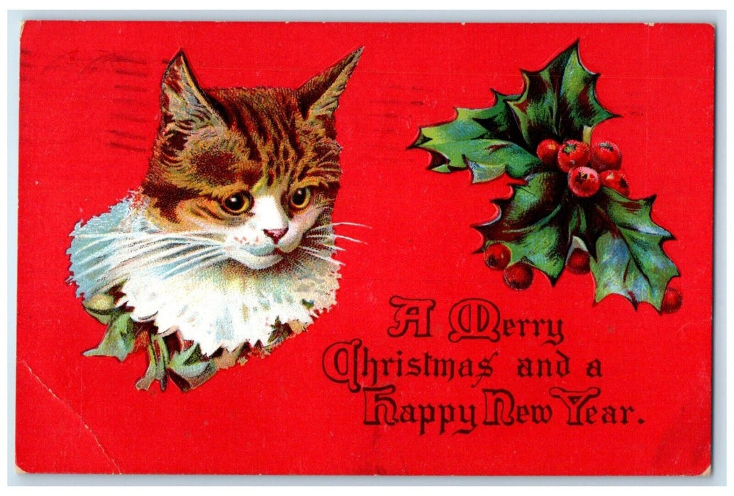 1909 Christmas New Year Cat Holly Berries Embossed Brantford OntarioPostcard