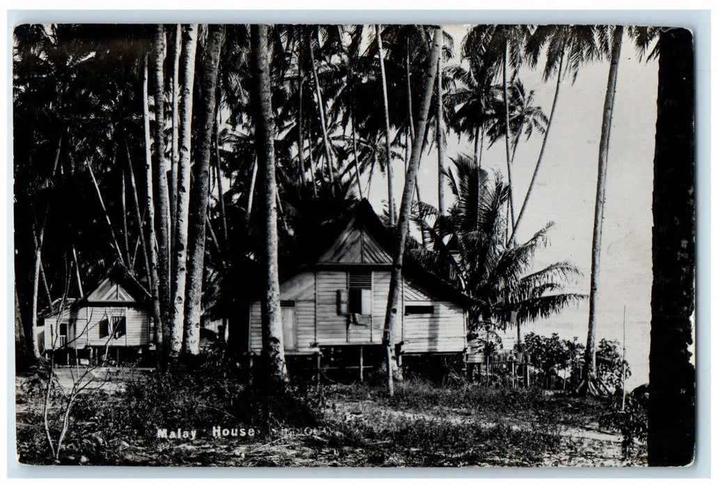 c1930's Tall Trees and Malay Houses Near Beach Malaysia RPPC Photo Postcard