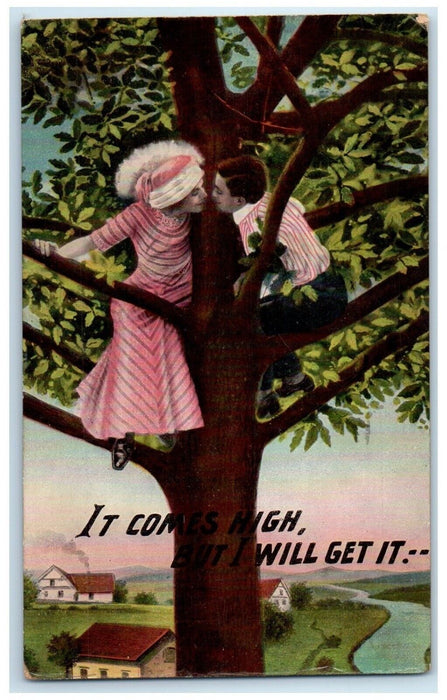 1911 Couple Romance Kissing On Top Of Tree Fort Madison Iowa IA Antique Postcard