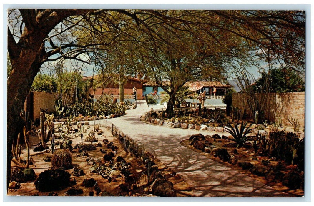 c1950's Ghost Ranch Lodge Cactus Garden Tucson Arizona AZ Vintage Postcard