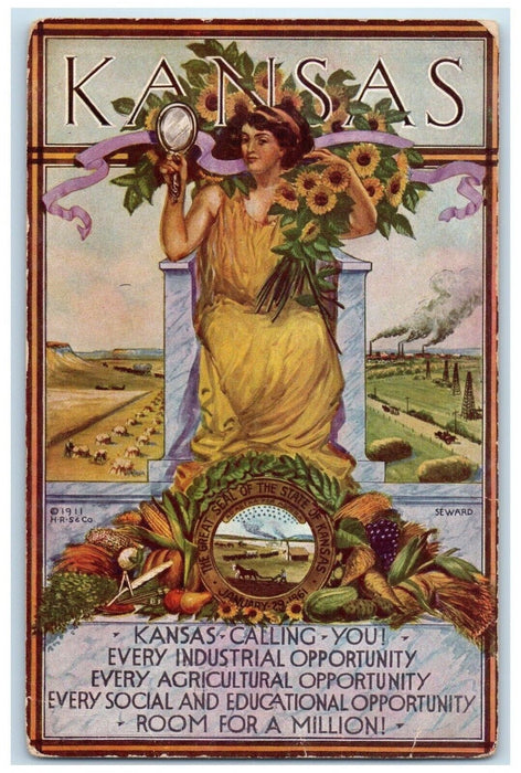 1915 Pretty Woman Sunflowers And Fruits Seward Ramona Kansas KS Vintage Postcard