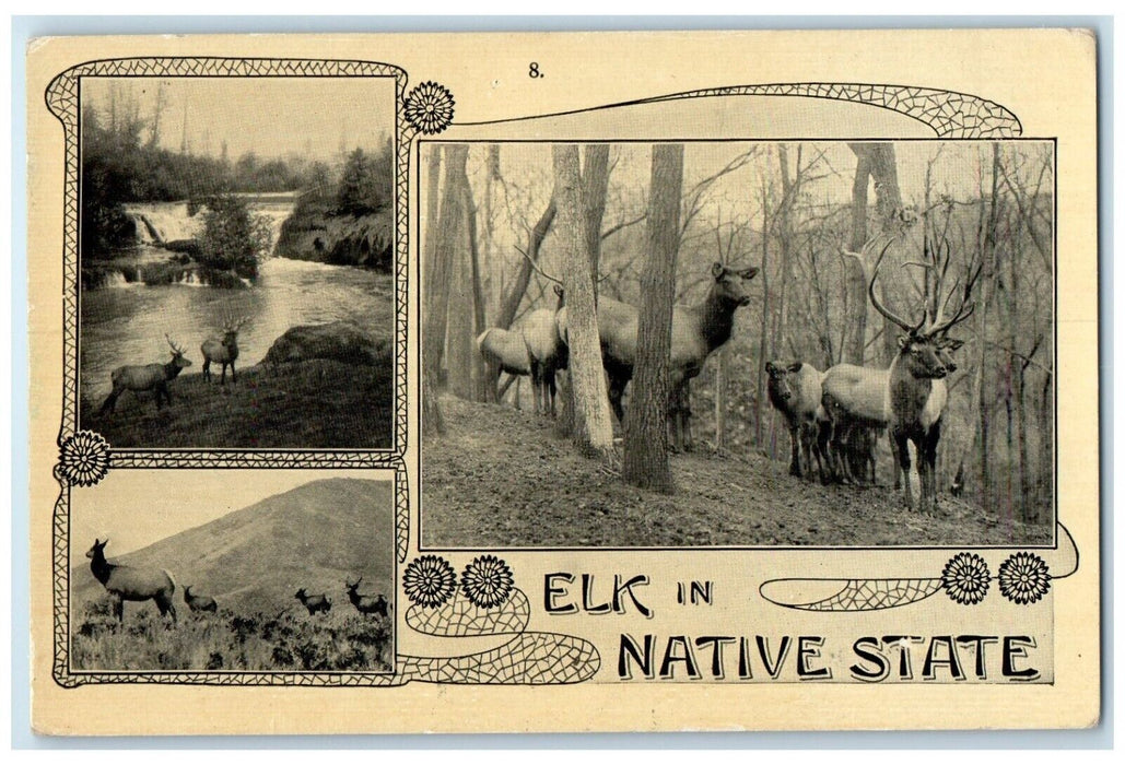 c1910 Elk Native State Oregon Trail Monument Expedition Washington WA Postcard