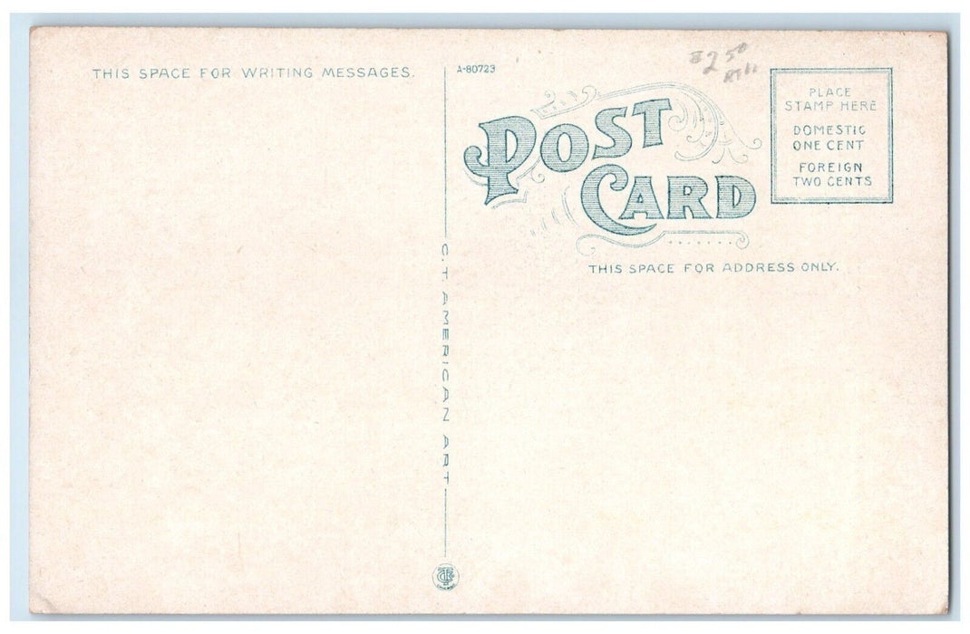 c1920 YWCA Exterior Building Brockton Massachusetts MA Vintage Antique Postcard