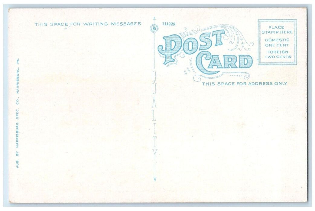 c1920 Bathing Island Beach Swimming Harrisburg Pennsylvania PA Vintage Postcard