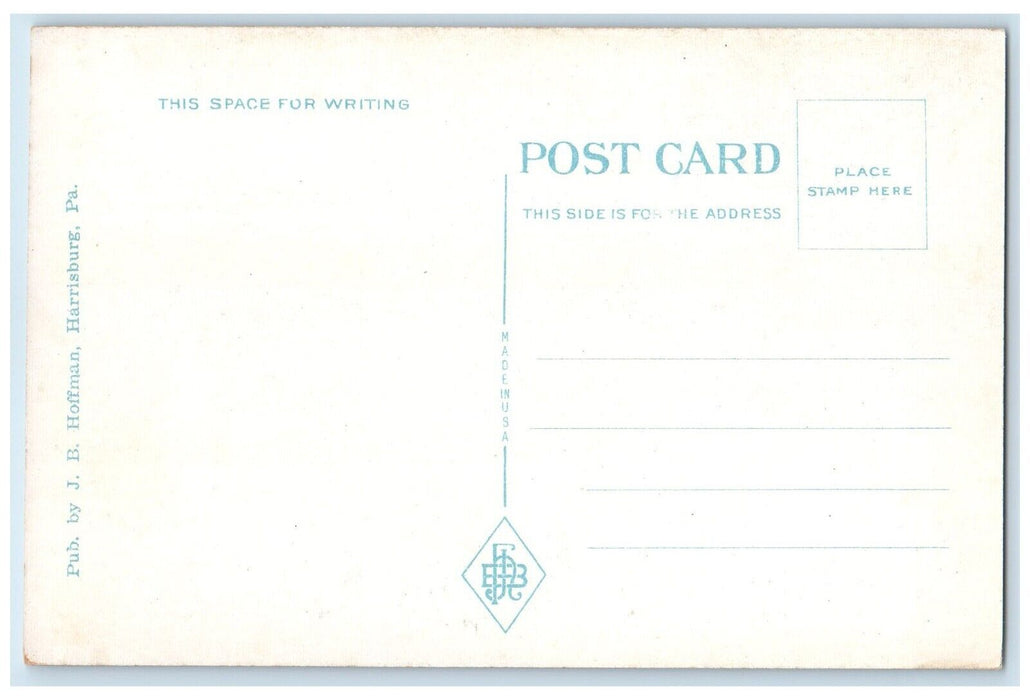 c1920 Scene Bathing Beach Swimming Canoe Boat Harrisburg Pennsylvania Postcard