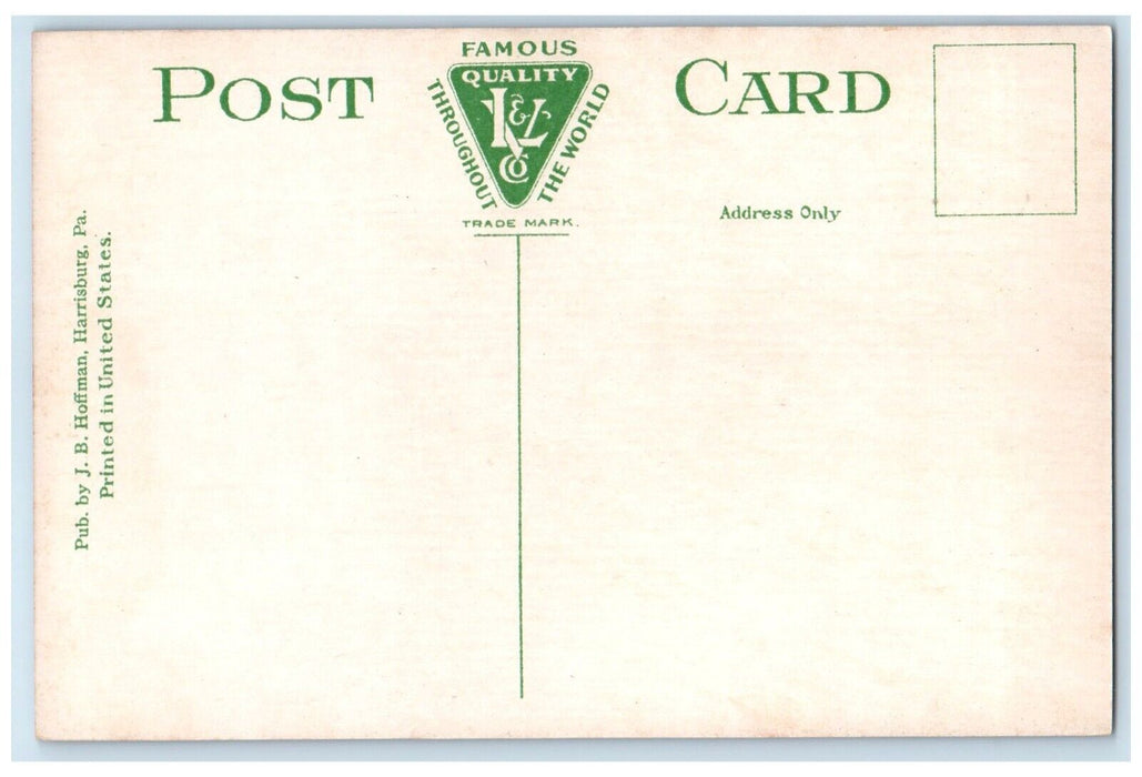 c1910 Tame Pigeons Flying Capitol Park Exterior Harrisburg Pennsylvania Postcard