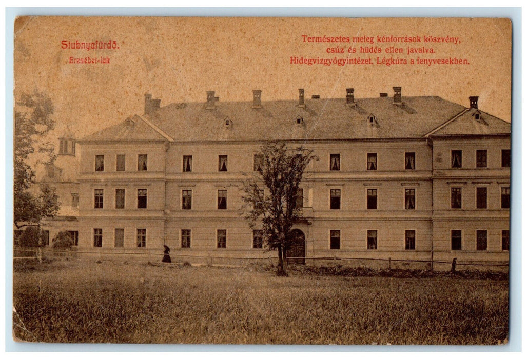 1909 Cold Water Hospital in Pine Forest Erzsebet Hungary Antique Postcard