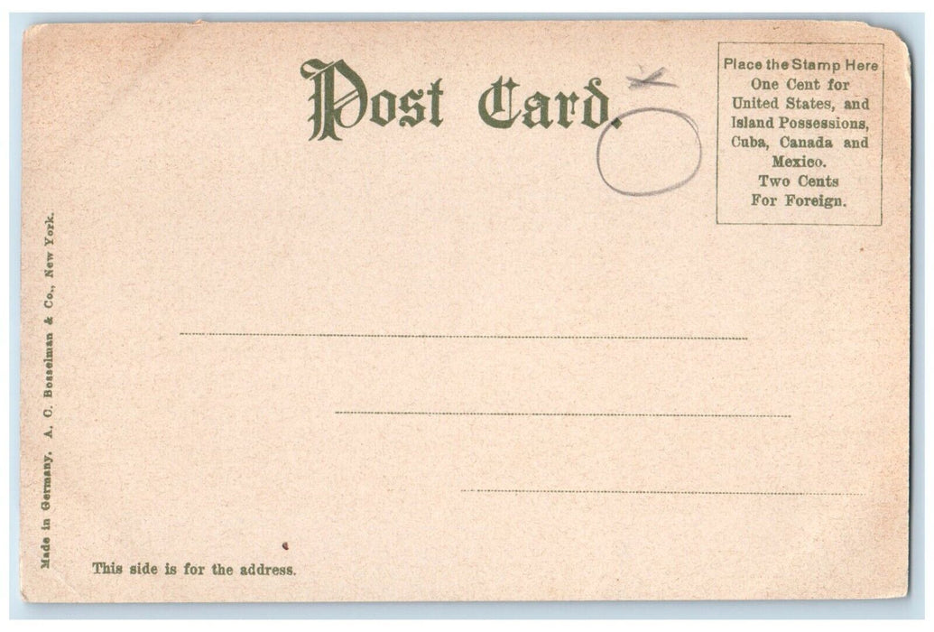 c1905 Bridge Town Brook Morton Park Plymouth Massachusetts MA Unposted Postcard
