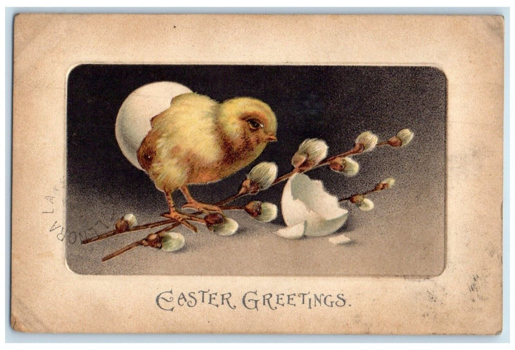 Easter Greetings Hatched Egg Chick Pipe Berries Embossed Rushville IL Postcard