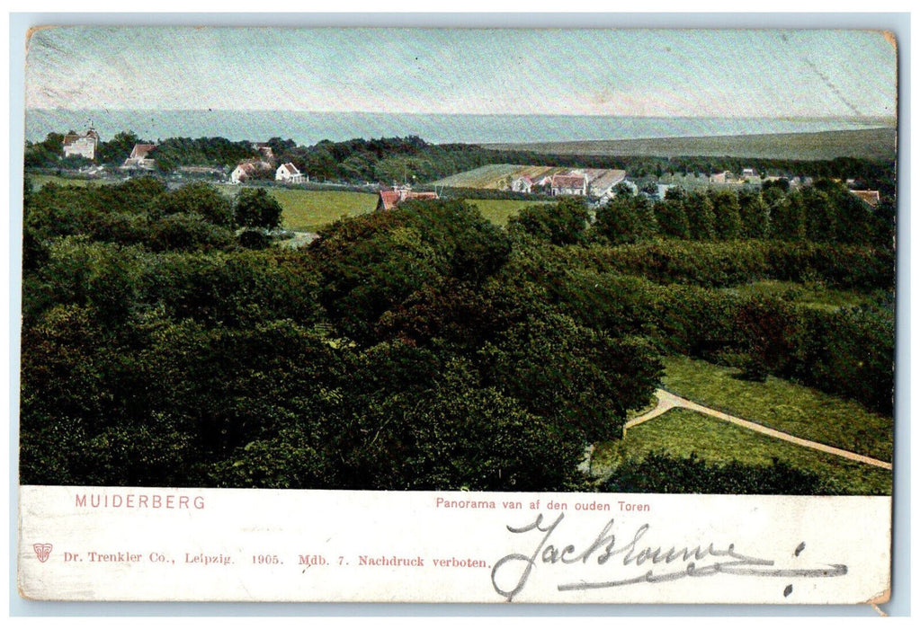 c1905 Panorama From Den Ouden Toren Muiderberg Netherlands Postcard