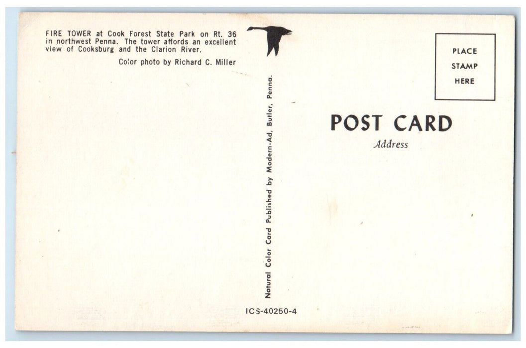 c1960 Fire Tower Cook Forest State Park Northwest Pennsylvania Clarion Postcard