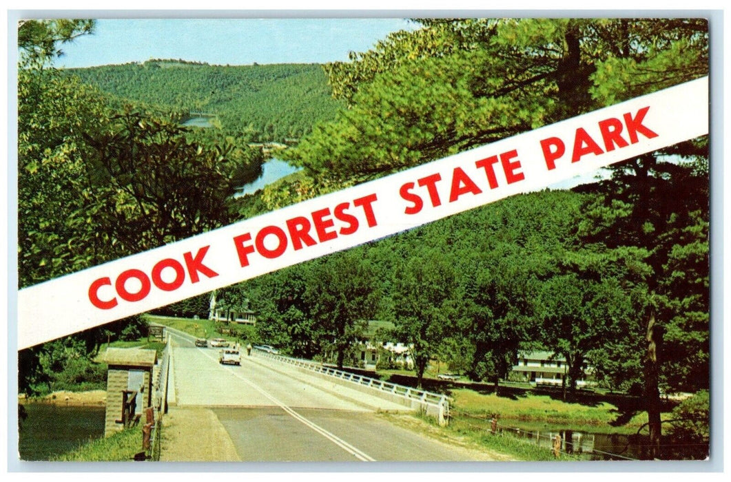 c1960 Cook Forest State Park Clarion River Banner Road Pennsylvania PA Postcard