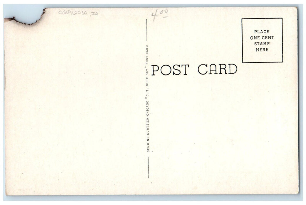 c1930's Lincoln School Building Scene Street Oskaloosa Iowa IA Vintage Postcard