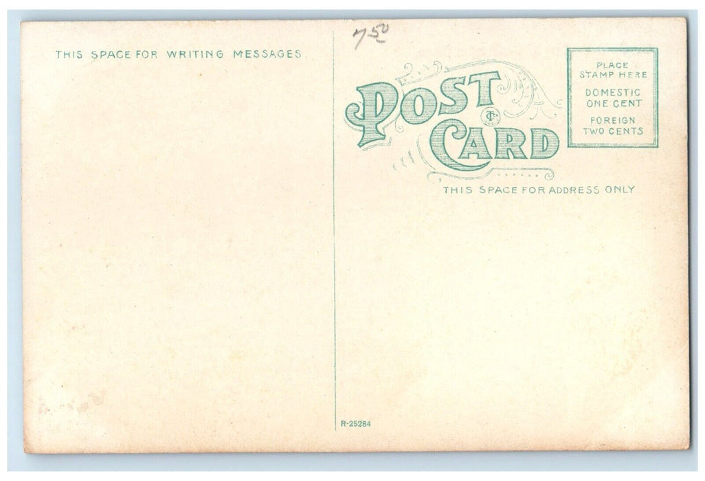 c1910's Bird's Eye View Of McGregor Iowa IA, Sea View Unposted Antique Postcard