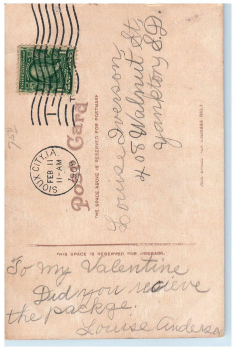 1908 View Of Council Oak Trees Sioux City Iowa IA Posted Antique Postcard