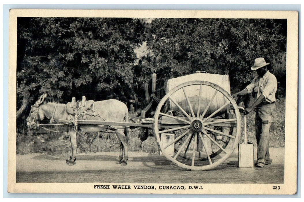 1939 Fresh Water Vendor Curacao D.W.I. Photo Gloss Vintage Postcard