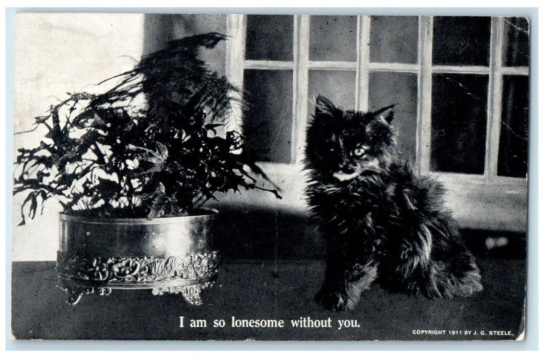 1913 Black Cat I Am So Lonesome Without You DPO 1904 - 1954 Hazel MN Postcard