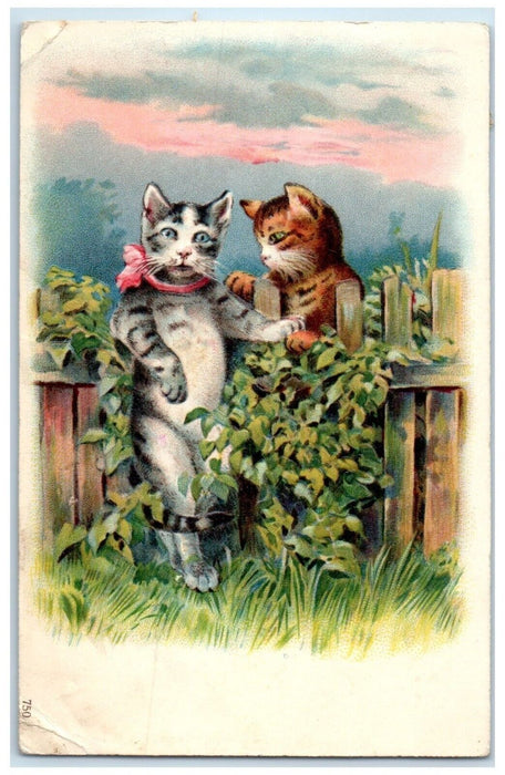 1907 Anthropomorphic Cat Kitten Embossed Strathroy Ontario Canada Postcard