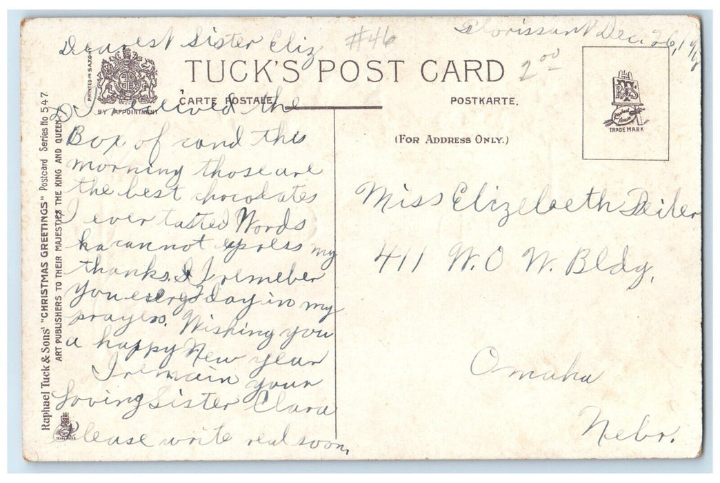 c1910's Christmas House Winter Flowers Tuck's Omaha Nebraska NE Antique Postcard