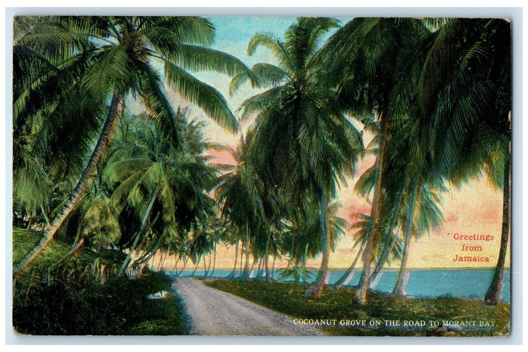 1932 Cocoanut on Road to Morant Bay Greetings from Jamaica Posted Postcard