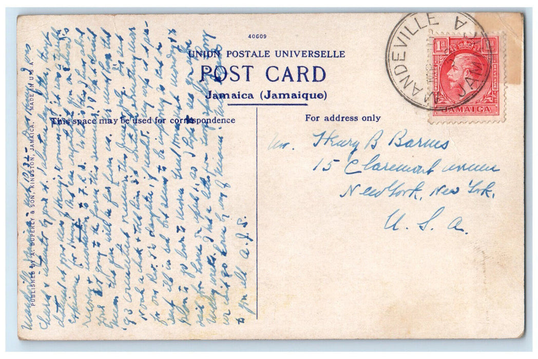 1932 Cocoanut on Road to Morant Bay Greetings from Jamaica Posted Postcard