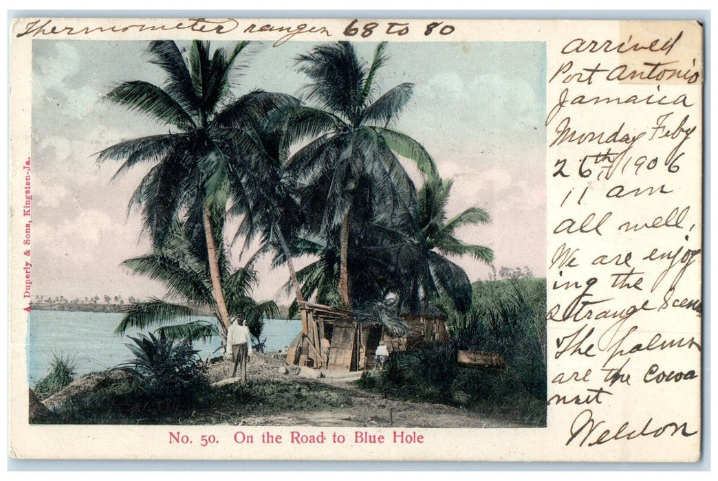 1906 Cocoanut On The Road to Blue Hole Jamaica Posted Antique Postcard