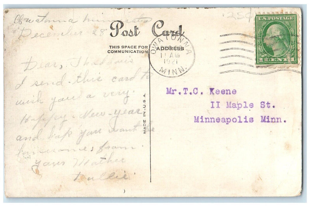 1921 New Year Wish Hanging Pot Holly Berries Owatonna Minnesota MN Postcard