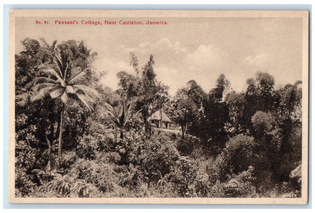 c1920's Peasant's Cottage Near Castleton Jamaica Antique Unposted Postcard