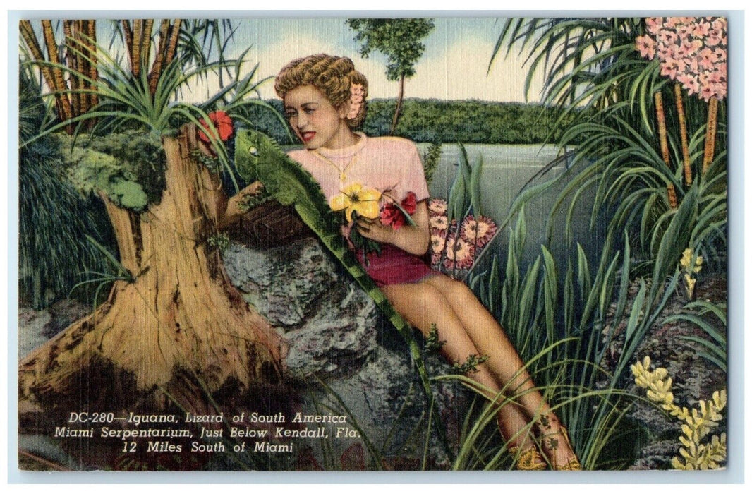 c1940 Iguana Lizard South America Miami Serpentarium Kendall Florida FL Postcard