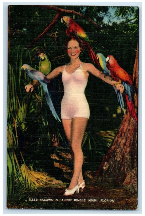 c1940 Macaws Parrot Jungle Parrot Tropical Map Jungle Miami Florida FL Postcard