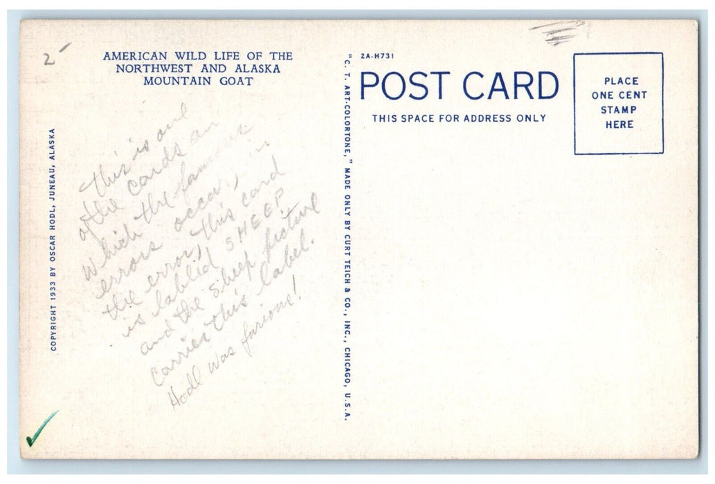 c1930's Mountain Goat American Wild Life Of The Northwest And Alaska Postcard