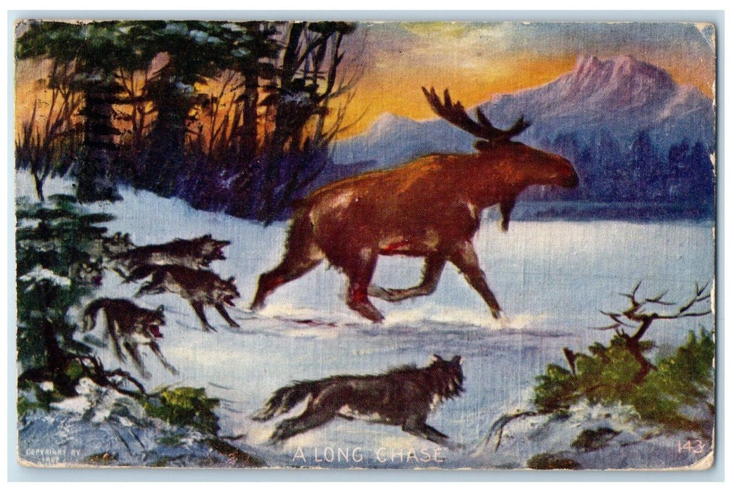 1907 Along Chase Wolf Chasing Elk In Winter Snow Hondo Texas TX Antique Postcard