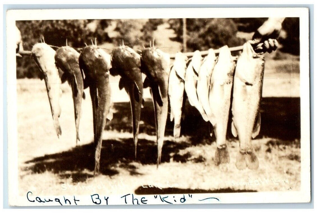 1948 String Of Caught Fish Clearlake Highlands California CA RPPC Photo Postcard