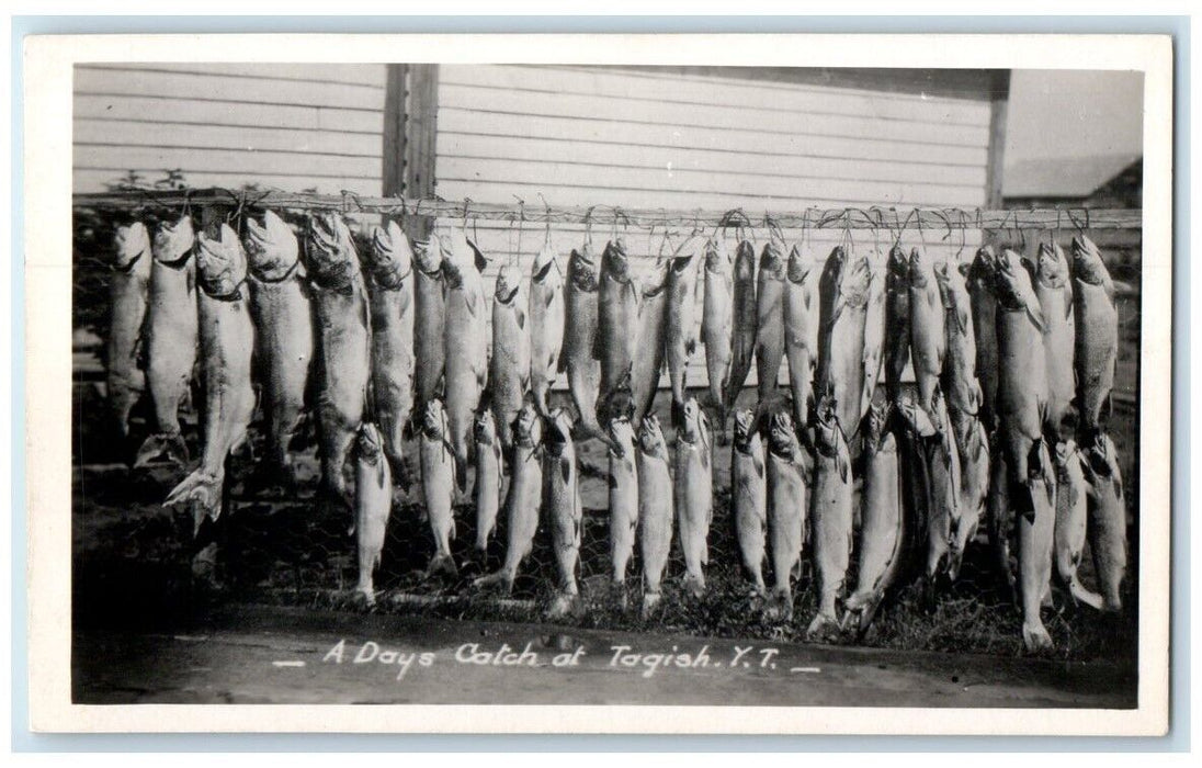 c1920's A Day's Fish Catch At Tagish Yukon Territory Canada RPPC Photo Postcard