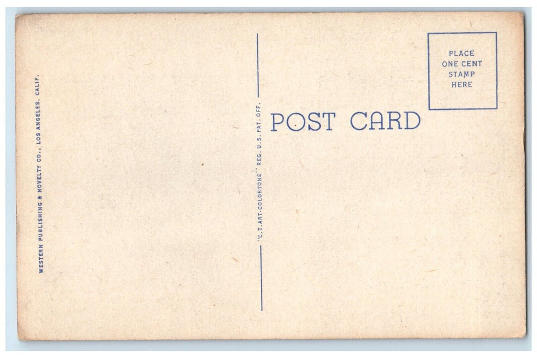 Fire Fall Glacier Point Yosemite National Park Checklist Correspondence Postcard