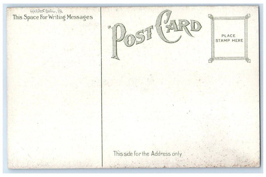 c1910 Park Along Susquehanna River Harrisburg Pennsylvania PA Unposted Postcard