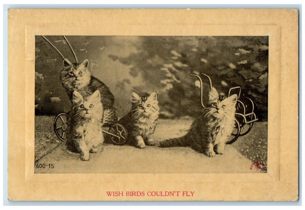 1911 Cute Cat Kittens Wish Birds Couldn't Fly Brooklyn New York NY Postcard