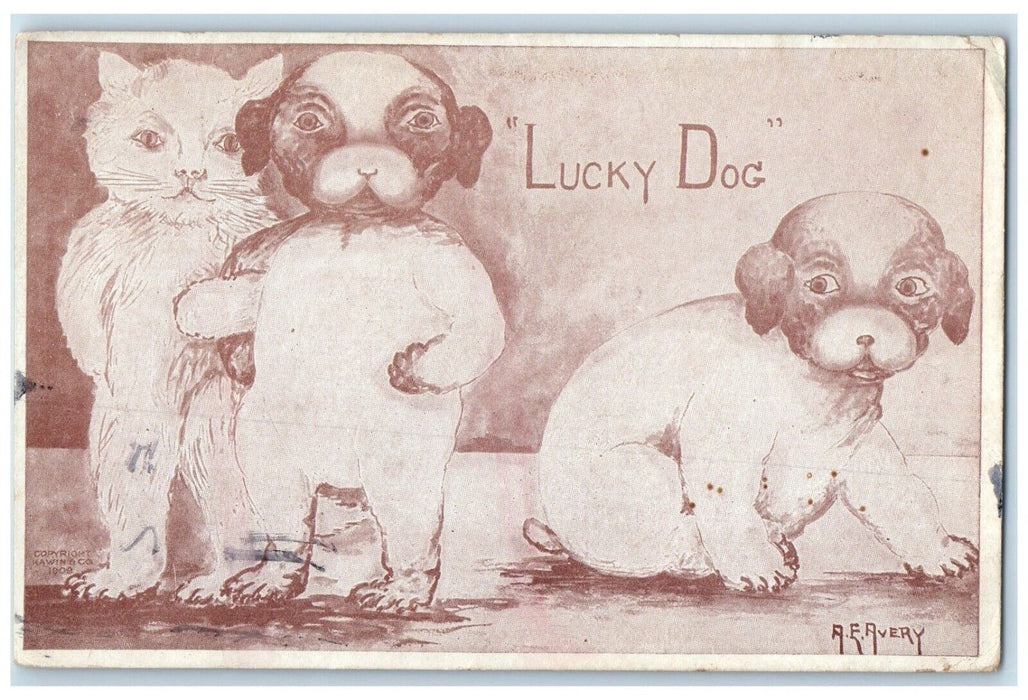 1910 Dog Puppies Cat Animals Newport Washington WA Posted Antique Postcard