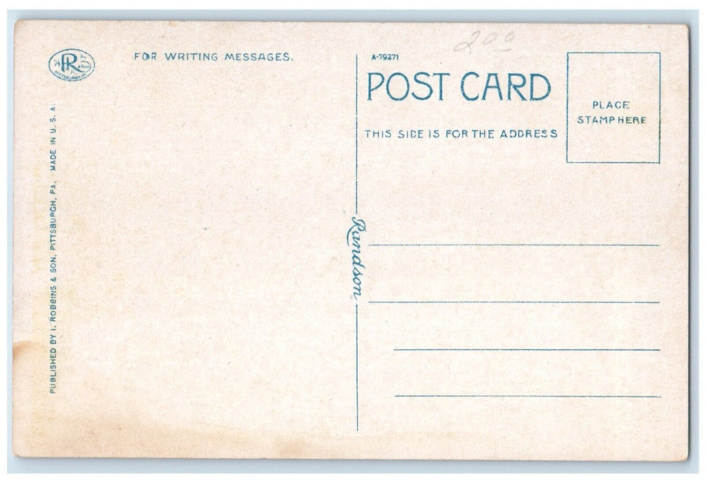 c1920 Birds Eye View Lakemont Park Altoona Pennsylvania Vintage Antique Postcard
