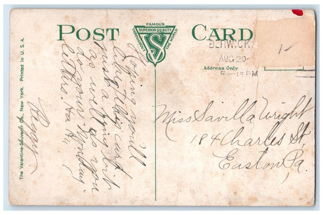 1915 Exterior Berwick Hospital Building Berwick Pennsylvania PA Antique Postcard