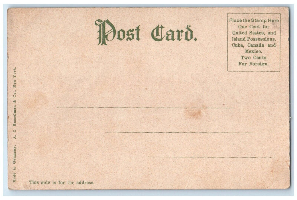 1905 Roadside View City Hall Building Johnstown Pennsylvania PA Vintage Postcard