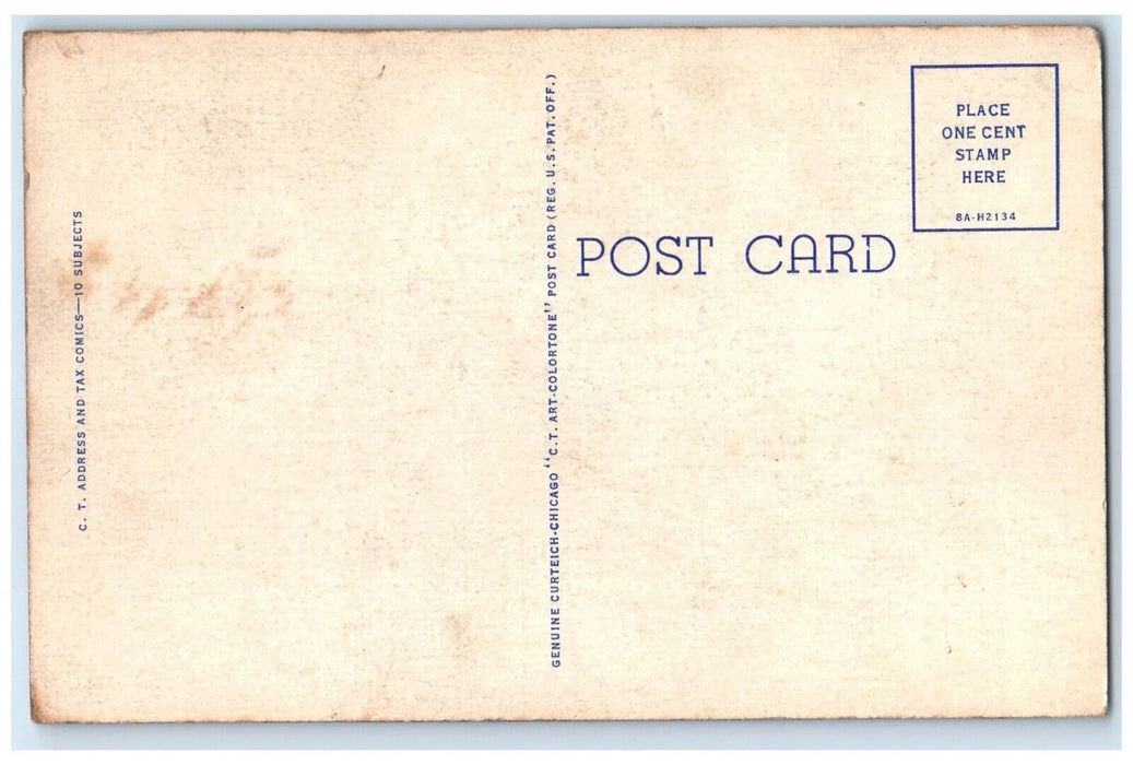 Parrot You Better Pull All The Window Put Out The Cat Lock Up The Door Postcard