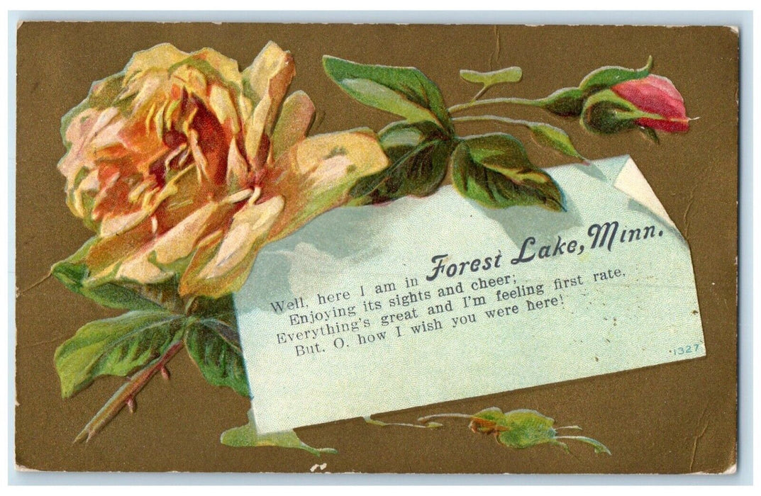 1909 Greetings From Forest Lake Minnesota MN Embossed Posted Antique Postcard