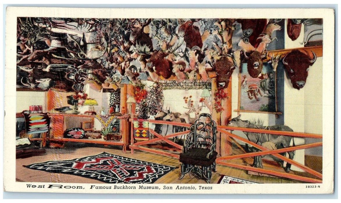 1949 West Room Famous Buckhorn Museum Interior Chair San Antonio Texas Postcard