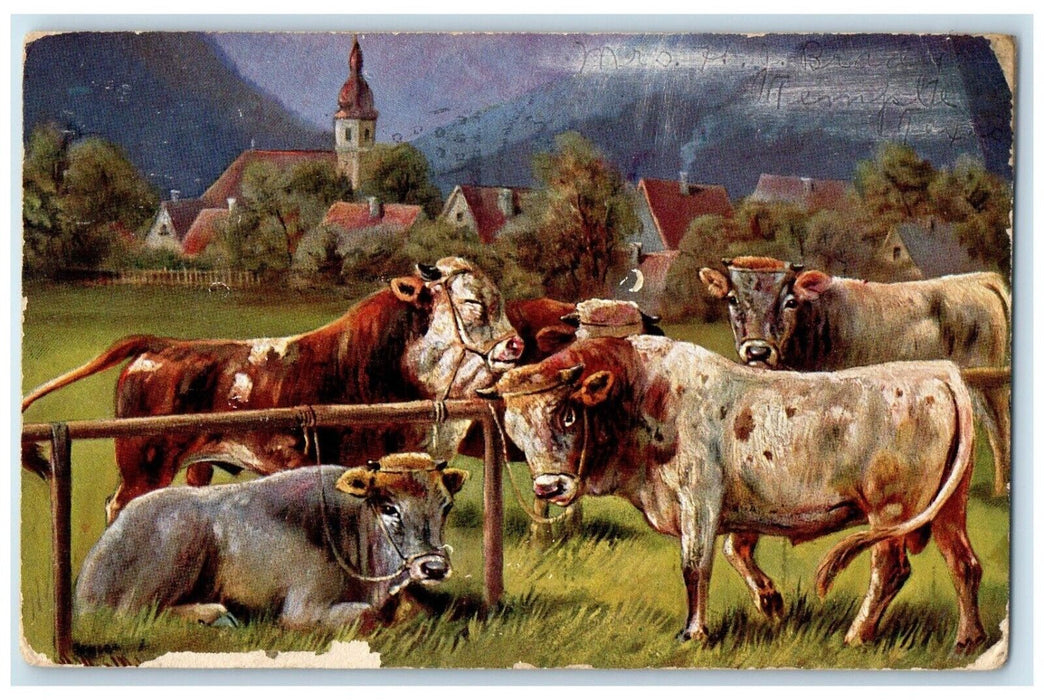 1906 Cattle Cow Art Temple Texas TX, Animals Houses Scene Antique Postcard