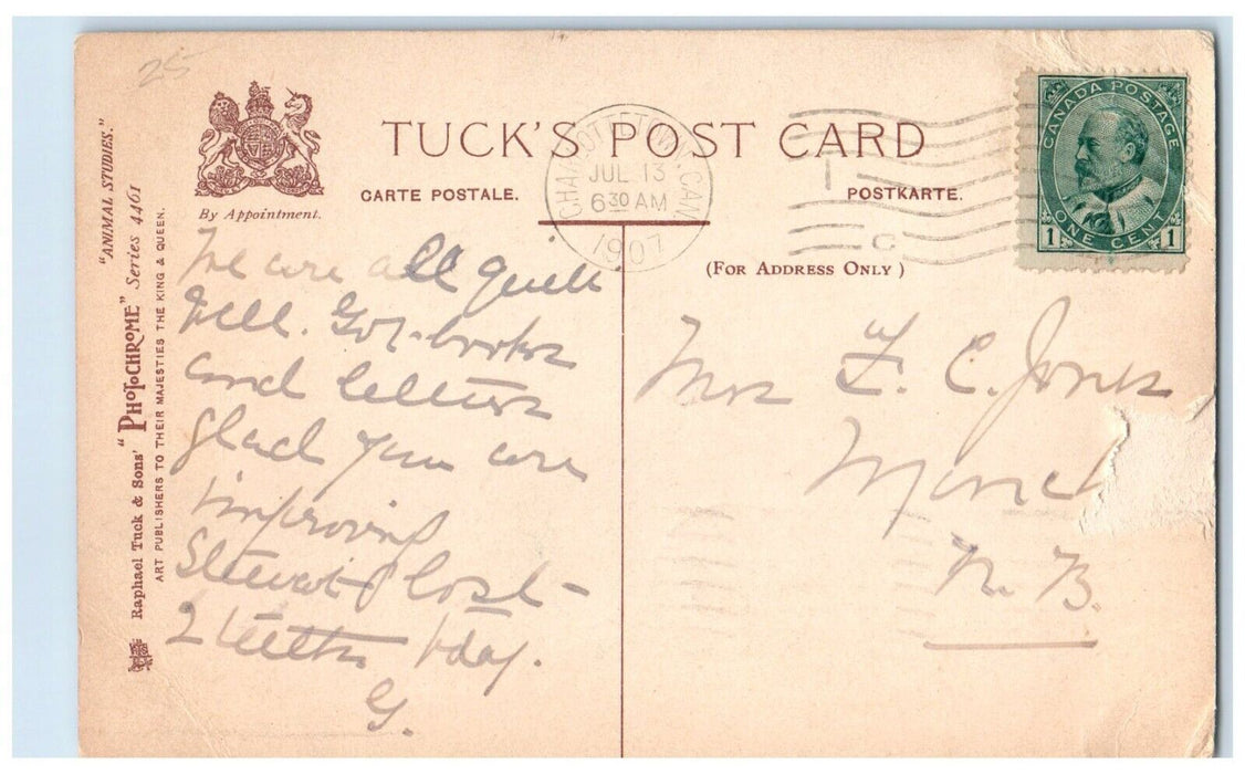 1907 Boys Ride Donkey Beach Scene Tuck's Charlottetown Canada Antique Postcard