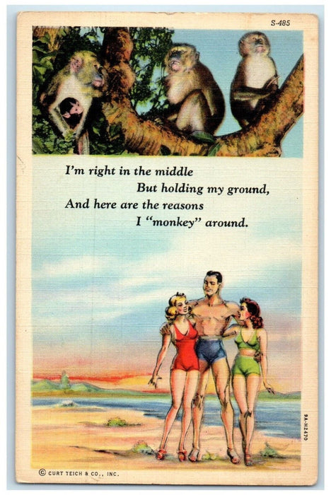 c1940s Monkeys Scene Tree Sexy Woman Swimsuit At The Beach Greentown PA Postcard